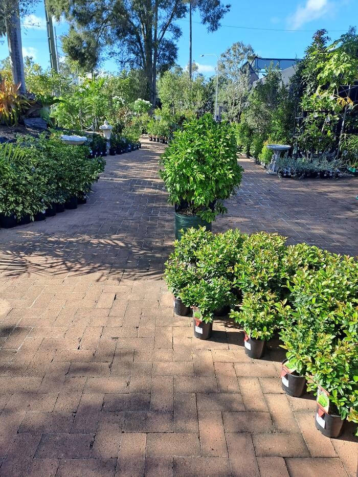 Images Cobble Patch Landscape Supplies