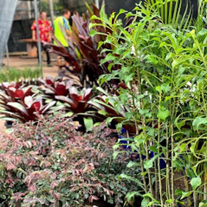 Images Cobble Patch Landscape Supplies