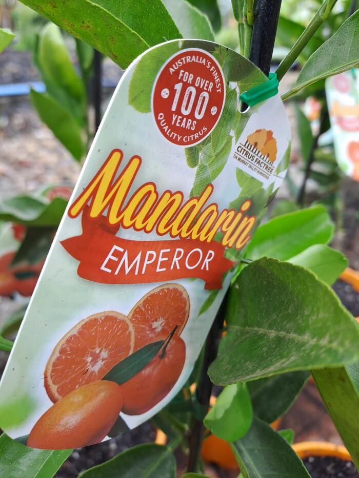 Images Cobble Patch Landscape Supplies