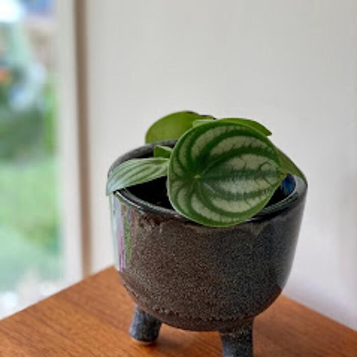 Images Cobble Patch Landscape Supplies