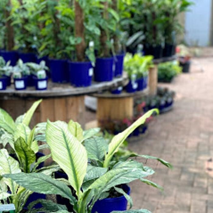 Images Cobble Patch Landscape Supplies