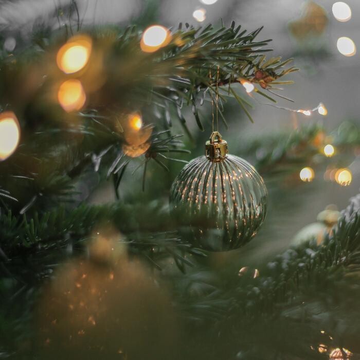 Images Steven Cirillo - Real Estate Agent