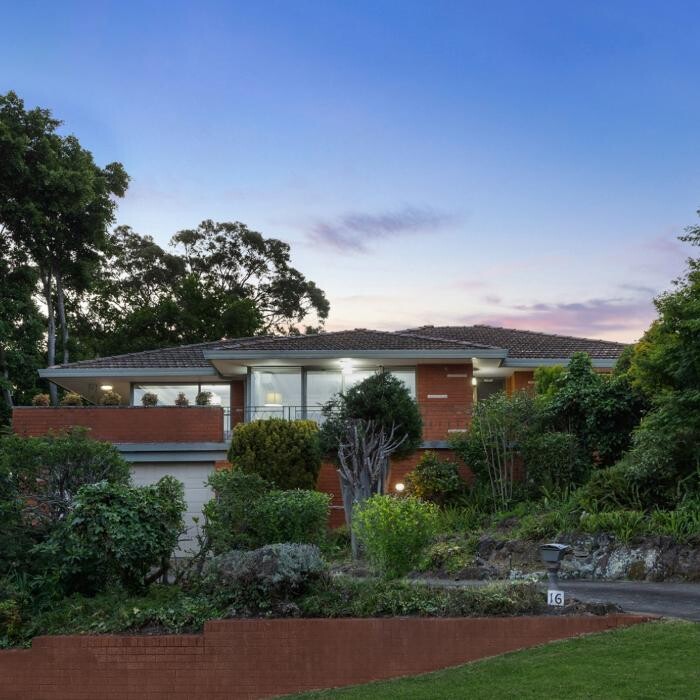 Images Steven Cirillo - Real Estate Agent