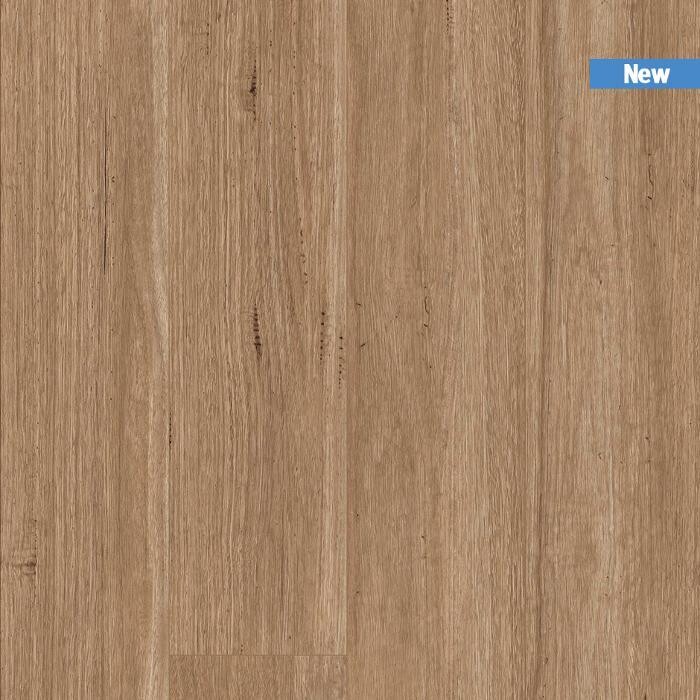 Images Andersens Mareeba