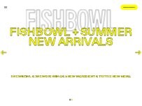 Website Screenshot FISHBOWL - Broadway