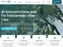 Website Screenshot Waratah Professional Tree Care Pty Ltd