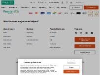 Website Screenshot Pearle Opticiens Temse