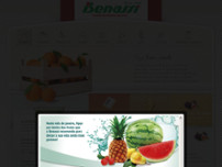 Screenshot for http://www.benassisp.com.br