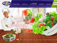 Screenshot for http://www.distribuidoramendonca.com.br