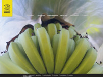 Screenshot for http://www.frutasjaguare.com.br
