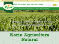 Screenshot for http://www.korin.com.br