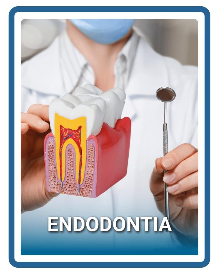 Images COEI Clinica Odontológica | Dentista em Florianópolis