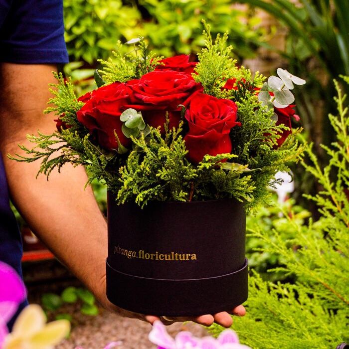 Images pitanga floricultura