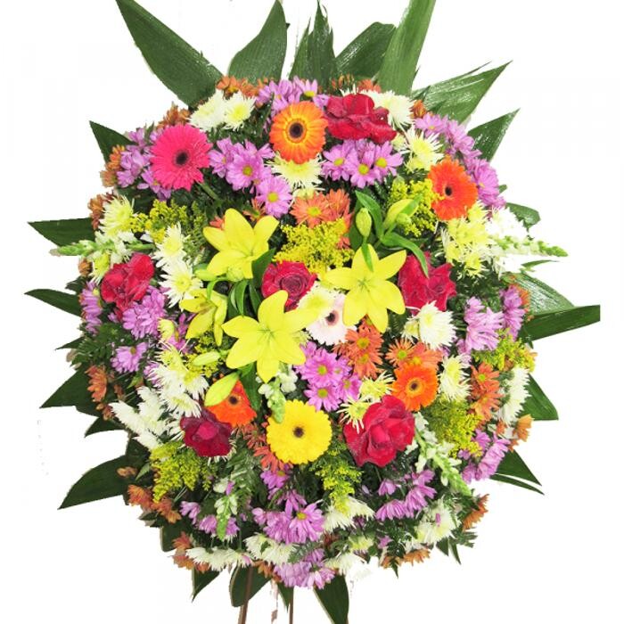 Images Coroa de Flores SP