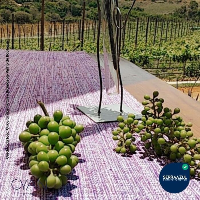 Images Cyan Resort by Atlantica