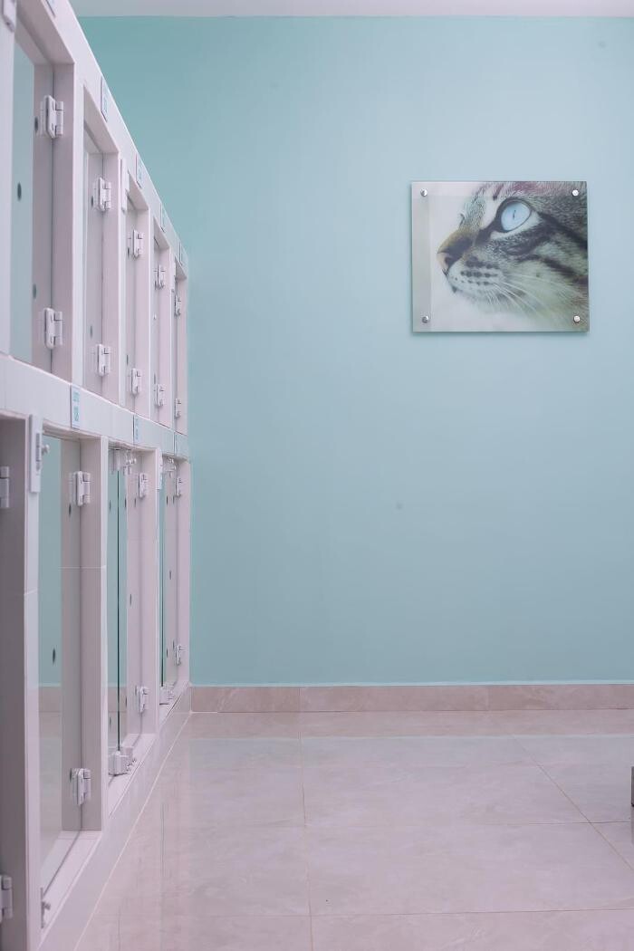 Images Clínica Veterinária 24 horas Franceschini