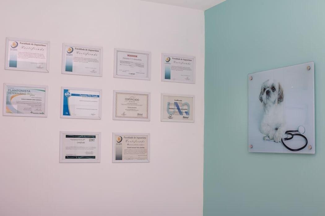 Images Clínica Veterinária 24 horas Franceschini