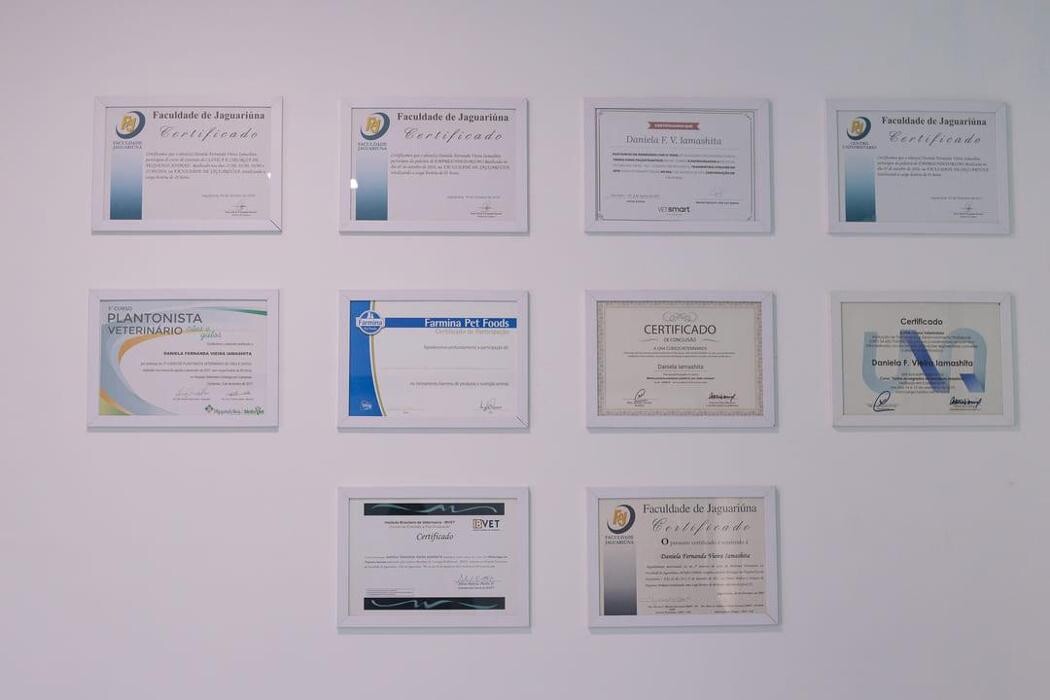 Images Clínica Veterinária 24 horas Franceschini