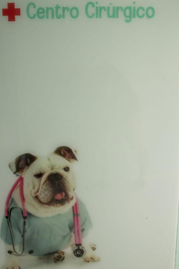 Images Clínica Veterinária 24 horas Franceschini