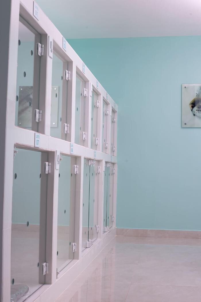 Images Clínica Veterinária 24 horas Franceschini