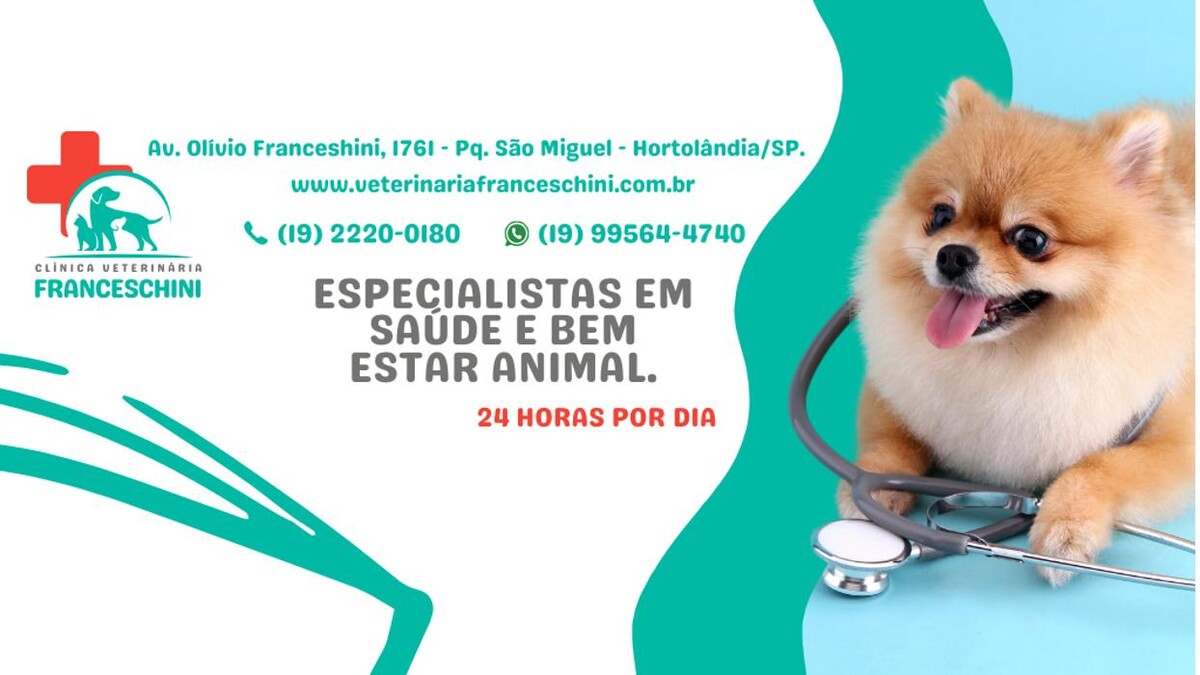 Images Clínica Veterinária 24 horas Franceschini