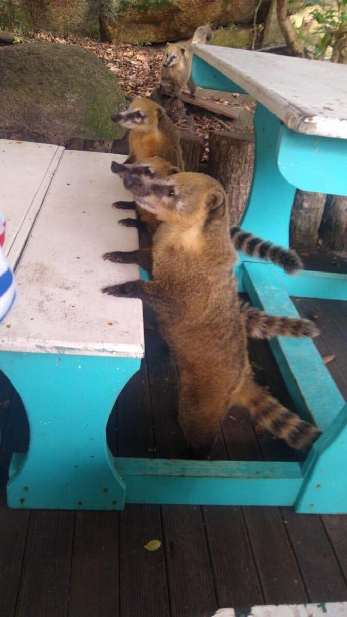 Images Belatur Turismo Receptivo