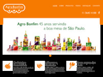 Screenshot for http://www.agrobonfim.com.br
