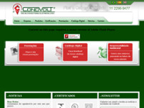 Screenshot for http://www.condvolt.com.br