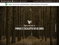Screenshot for http://www.fazendatrespinheiros.com.br