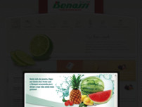 Screenshot for http://www.benassisp.com.br