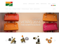 Screenshot for http://www.baxmann.com.br