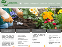 Screenshot for http://www.msgservicos.com.br