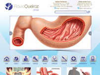 Screenshot for http://www.flavioqueiroz.com.br