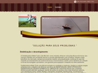 Screenshot for http://www.dedetizadoramatatudo.com.br