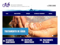 Screenshot for http://www.mcleodferreira.com.br