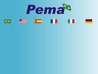 Screenshot for www.pema.com.br