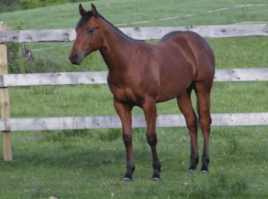 Images Deltawood Farm