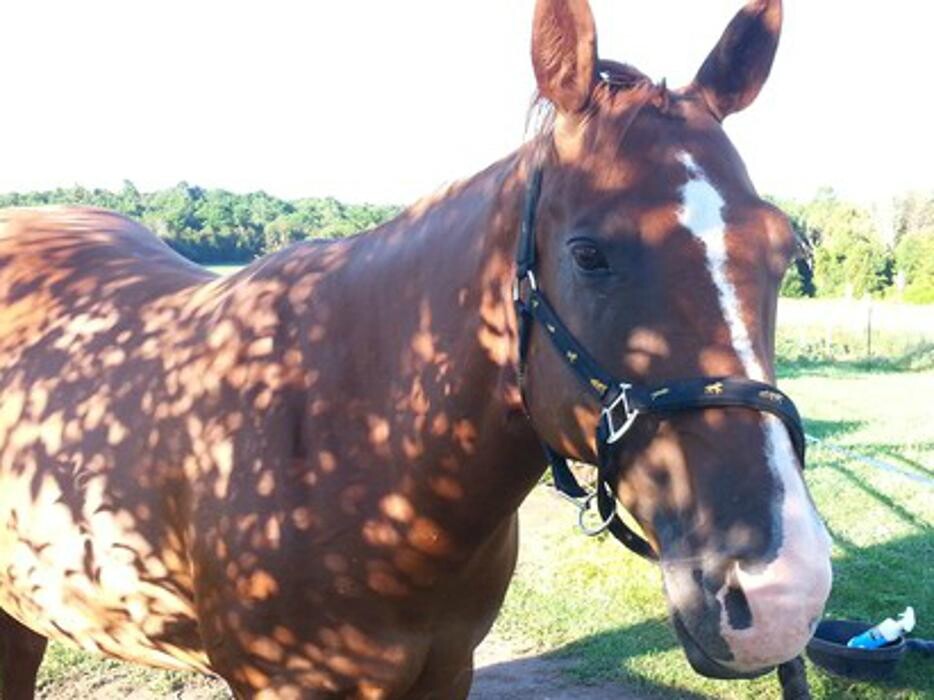 Images Deltawood Farm