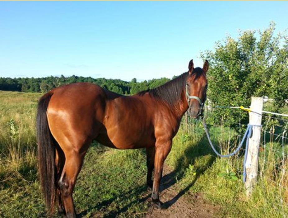 Images Deltawood Farm