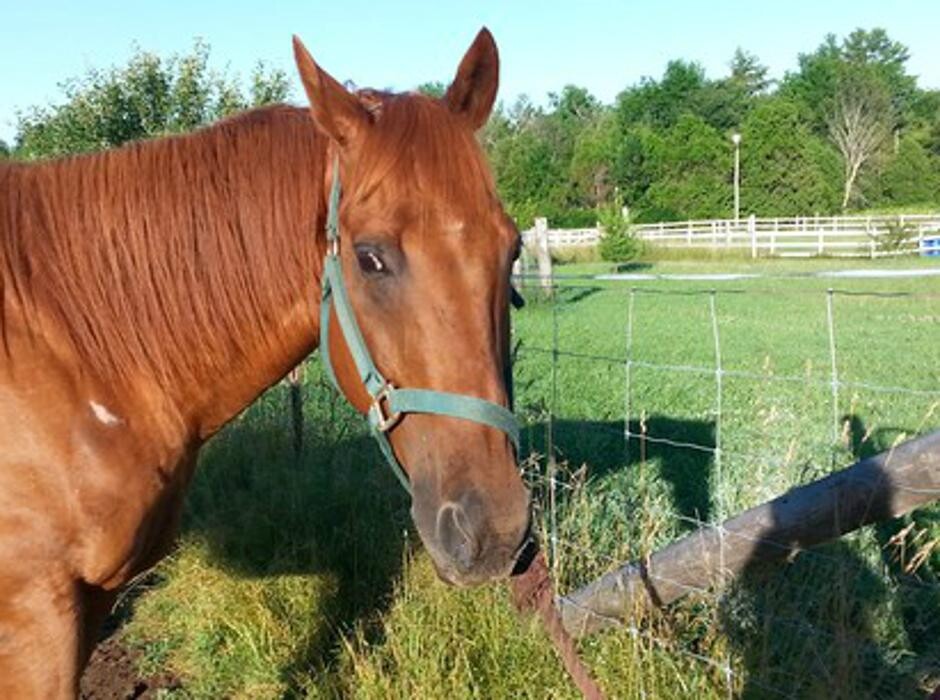 Images Deltawood Farm