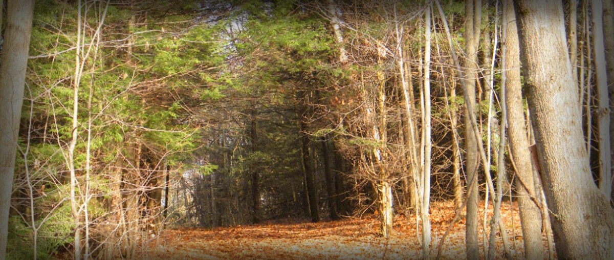 Images Deltawood Farm