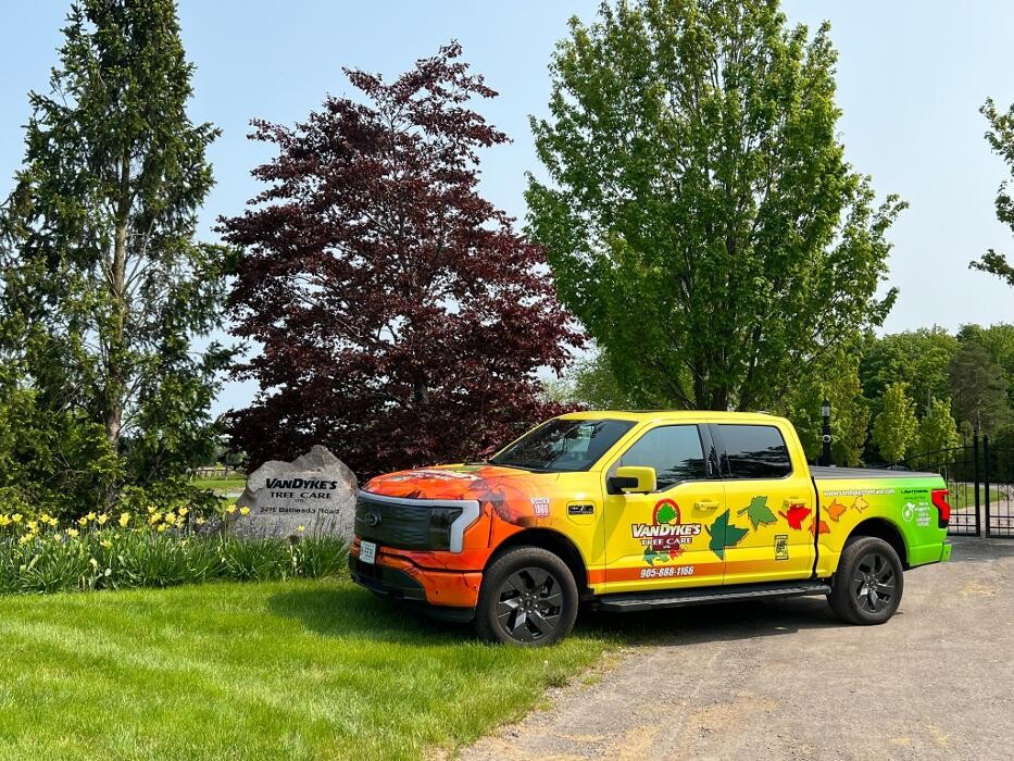 Images Van Dyke's Tree Care Ltd