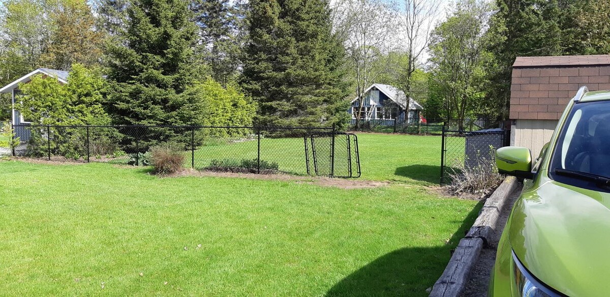 Images Backyard Fencing