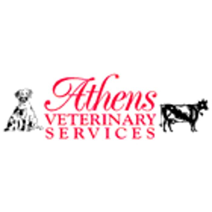 Images Athens Veterinary Services