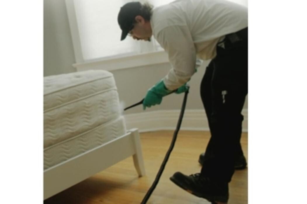 Images Pestend Pest Control Toronto