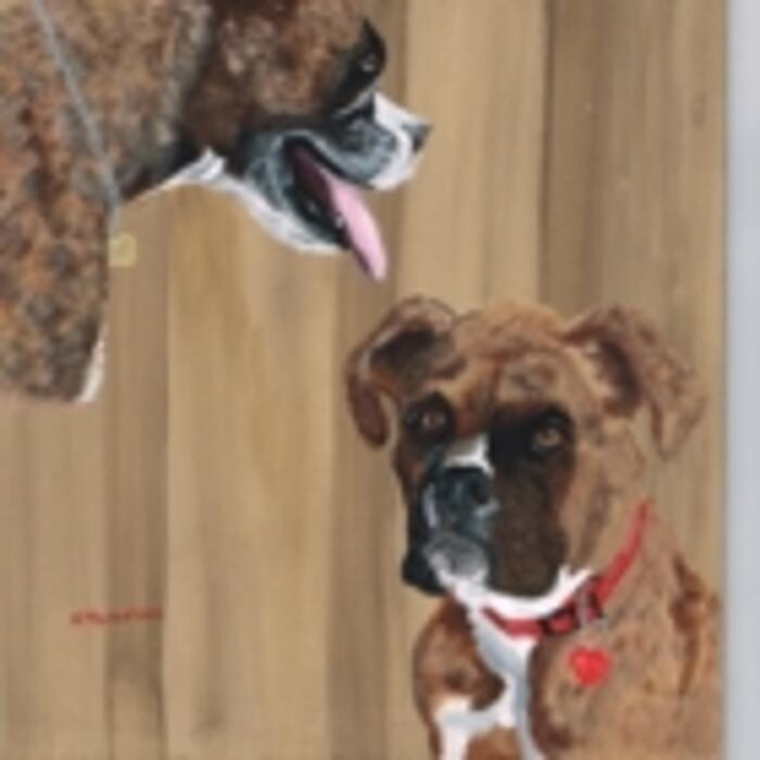 Images Fox Lane Studio