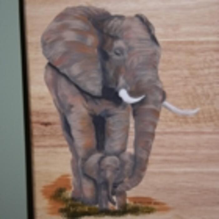 Images Fox Lane Studio