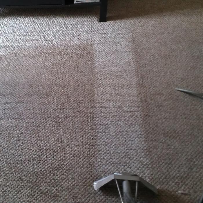 Images Steam Plus Carpet & Upholstery Cleaning