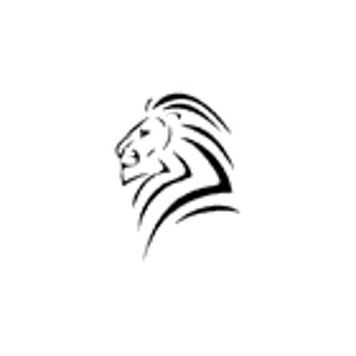 Images Lions Concrete Cutting & Coring Inc