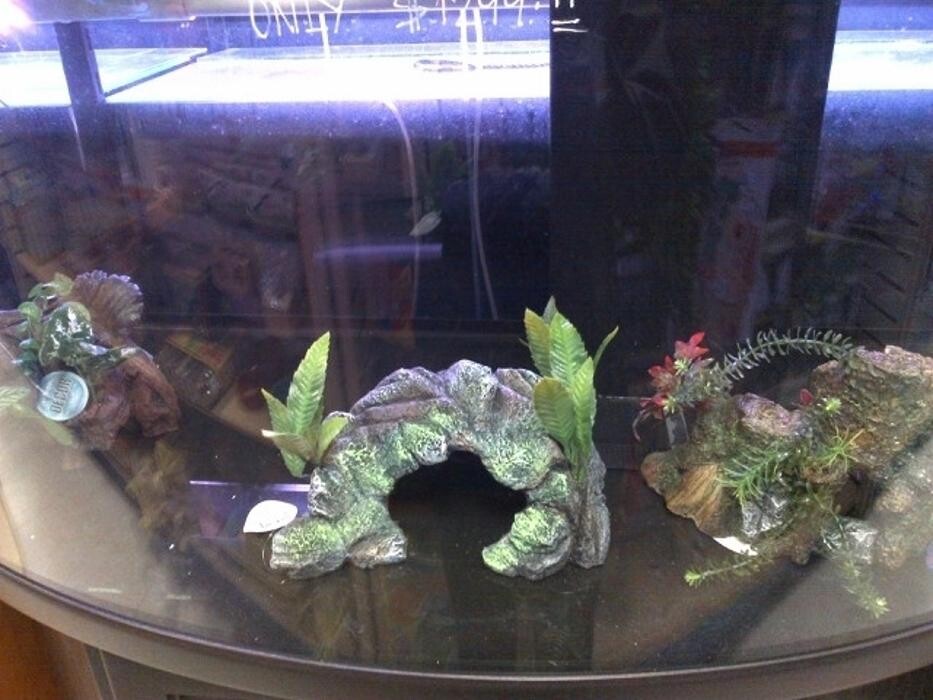 Images Nestor's Aquariums & Pets